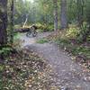 Coming through the lower berms on the flow trail at Palmer Bike Park