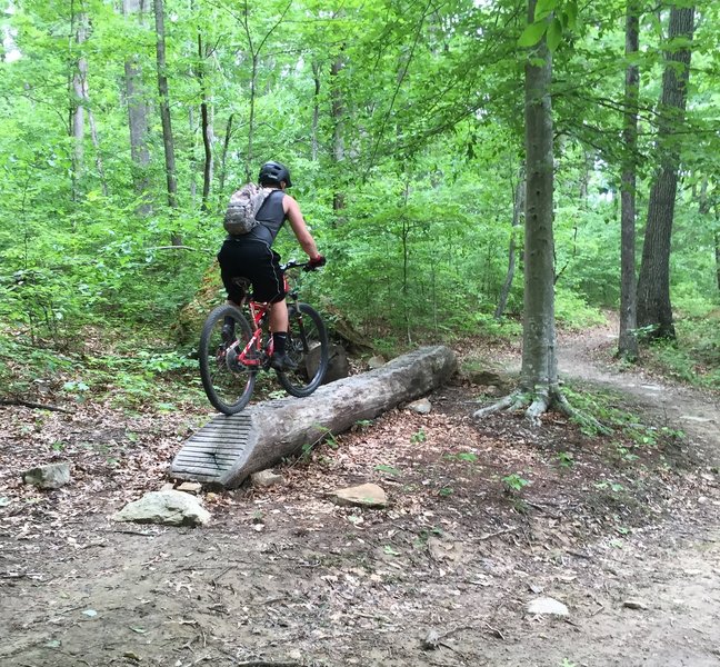 Log ride on east side of south loop.