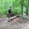 Log ride on east side of south loop.