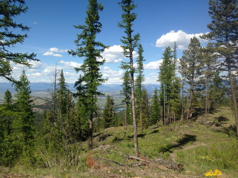 Northwest view from Chase overlook.