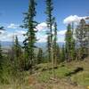 Northwest view from Chase overlook.