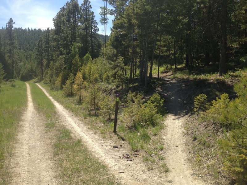 The entrance to the Chase Trail, fun both ways.