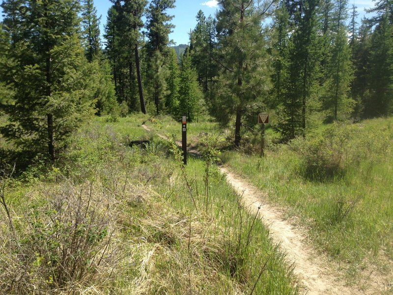 Horse Trail connector off of the Plum Creek Rd.