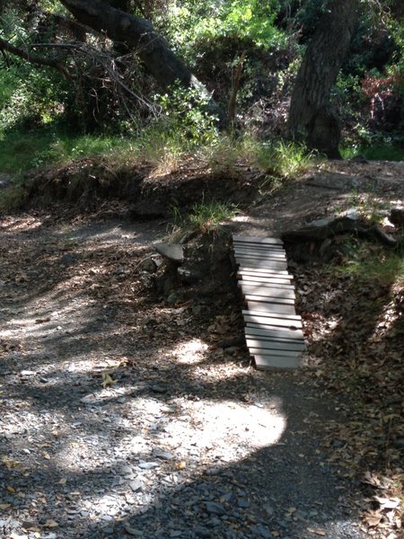 Here are some fun obstacles along the in out singletrack along the main trail.