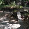 Here are some fun obstacles along the in out singletrack along the main trail.