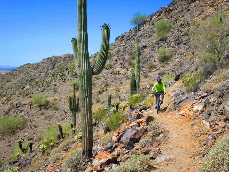 Riding the Ridgeline Trail