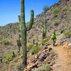 Riding the Ridgeline Trail