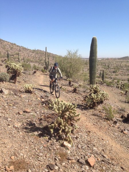 Riding along one of the eastern loops