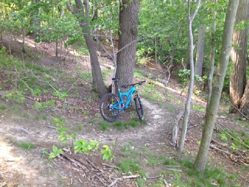 Singletrack view after big climb. Water is behind camera