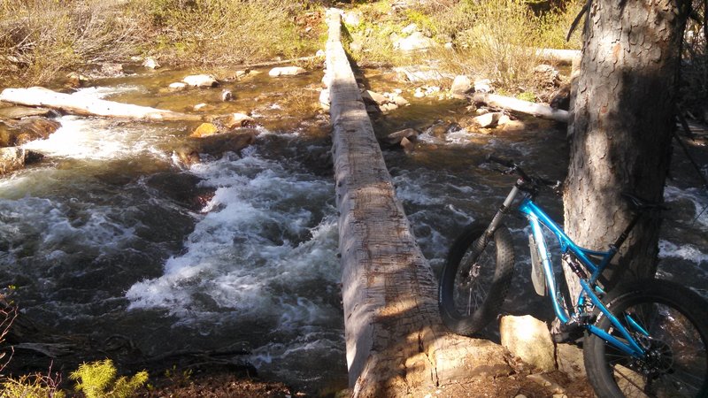 Natural log bridge crossing Goose Creek. Don't slip off this one, you may never be found again.