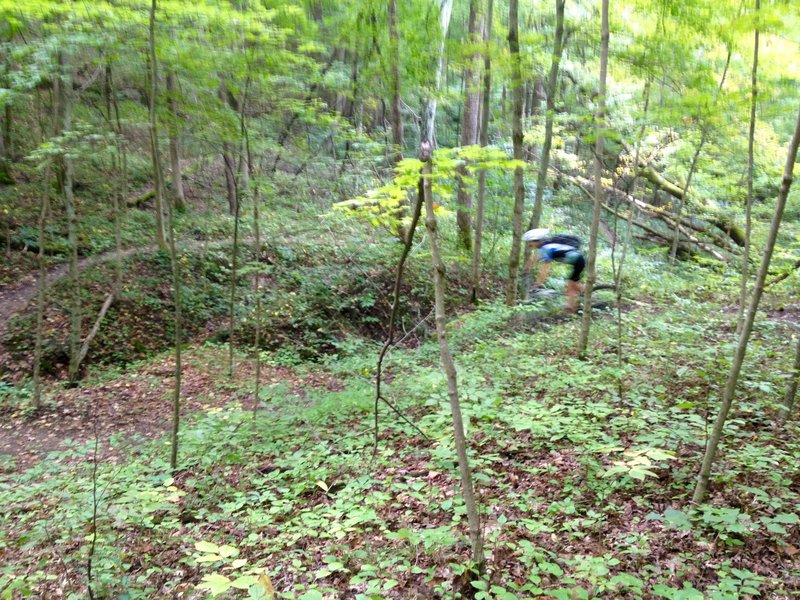 Lots of twists and turns on Hollow Point Trail.