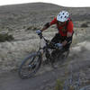 Cove Hustler Peavine XC