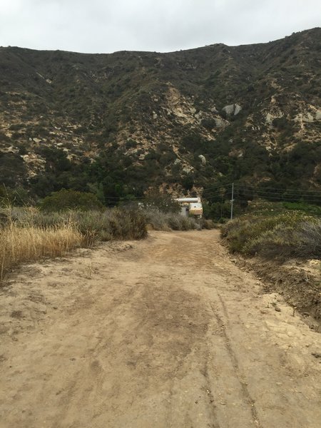 Looking down into Laguna Canyon from Big Bend Trail at LCWP.