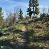 The end of the switchbacks as you ascend the Overlook Trail, one simple rock pile to clear.