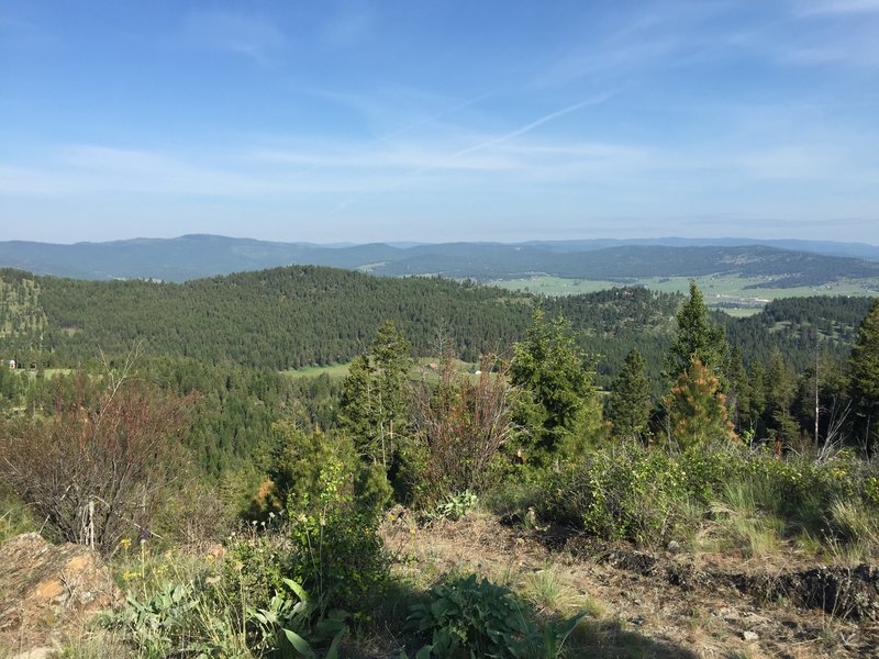 View from the West side of the overlook loop.