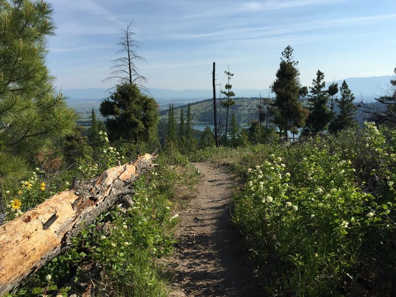 The upper section of the Notch Trail has many great views.  One of a few good spots to see Foys Lake.