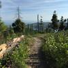 The upper section of the Notch Trail has many great views.  One of a few good spots to see Foys Lake.