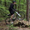 Log pile on Old Blue loop at Fisher Farm,