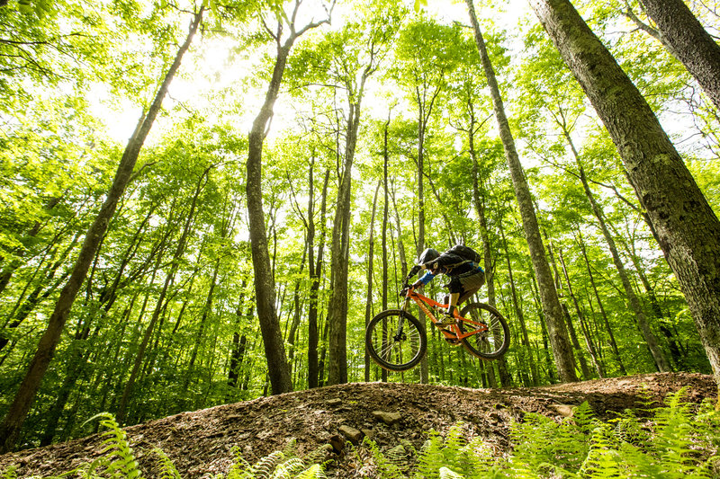 Getting RAD on the Skyline Trail!!