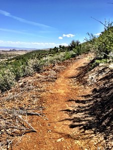 P-Mountain Trail
