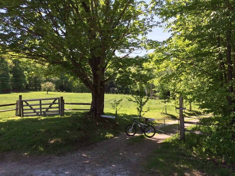 Culdesac / parking area