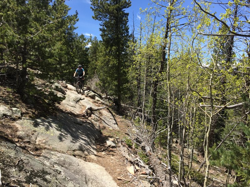 Yes, the trail is on that rock-slab. Good luck!