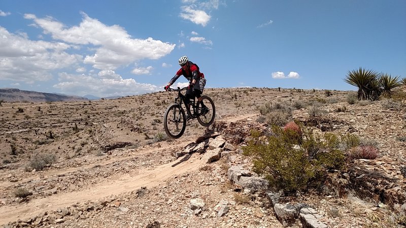 On one of the many drops on the Southwest Ridge Trail system.