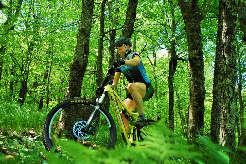 Lots of lush green at Emerald Outback