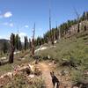 Almost to the bottom of the Christmas Valley Trail.