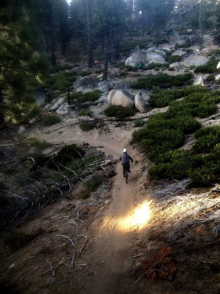 Leaving the rock garden in the light