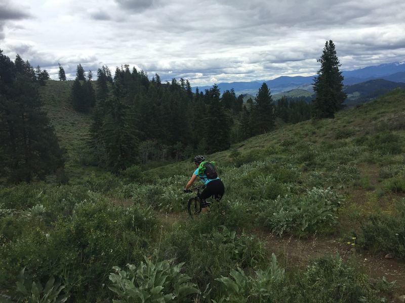 A little downhill on the Buck Mountain Trail