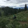 A little downhill on the Buck Mountain Trail