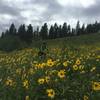 The Buck Lake Trail in early June