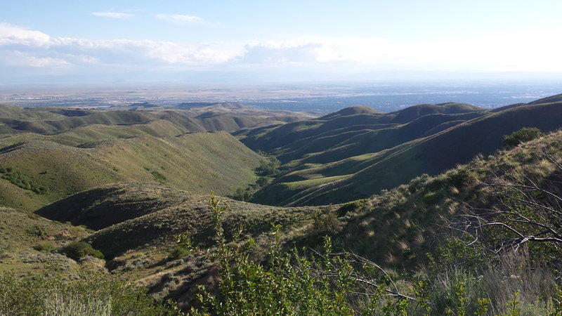 Overlooking Five Mile Creek