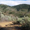 Looking down Orchard Gulch Trail