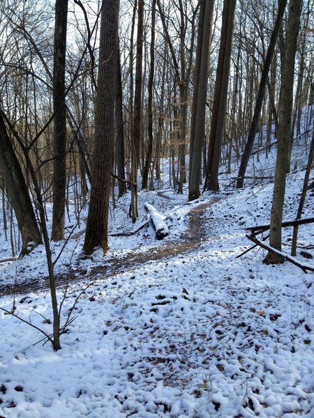 Thunderbunny Trail after a light snow.