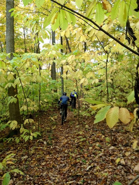 Heading up Sundown Trail during the fall.