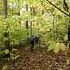 Heading up Sundown Trail during the fall.