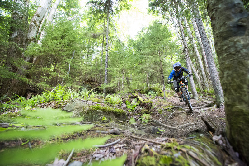 The upper end of H trail has plenty of steep root sections as soon as you drop in.