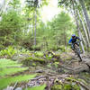 The upper end of H trail has plenty of steep root sections as soon as you drop in.