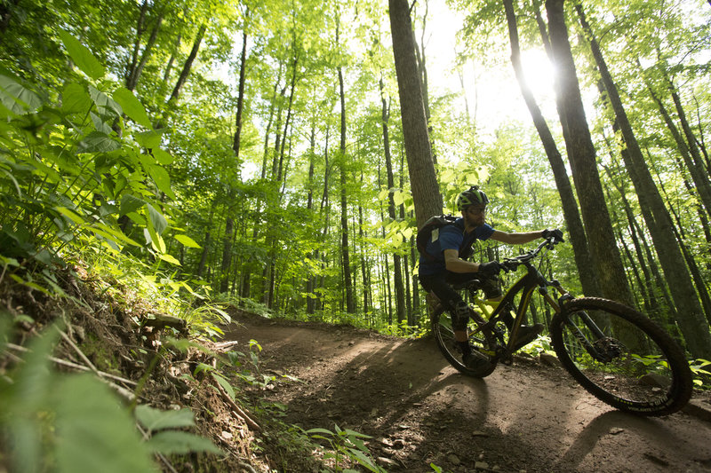 Powerline has lots of berms through big forest.