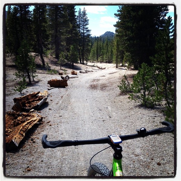 An example of a wider jeep road that is now closed to motorized use, and is being narrowed down to doubletrack and eventually singletrack.