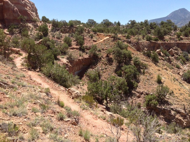 Connector trail to East Rock Canyon.