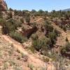 Connector trail to East Rock Canyon.