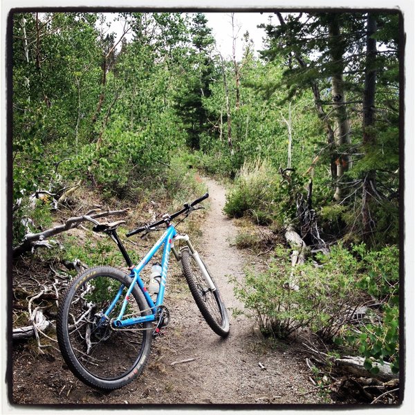 Stellar singletrack along the Yost Trail.