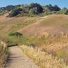 The Puente Hills at Schabarum Park