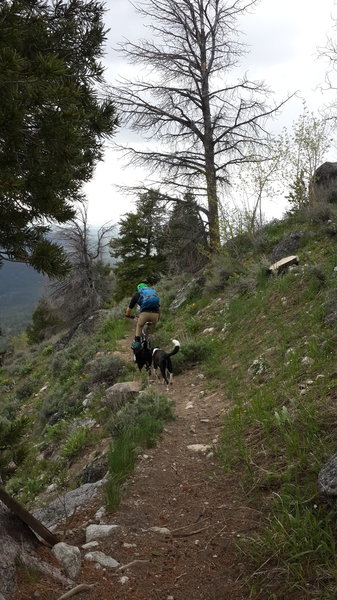 Heading down from the wilderness boundary