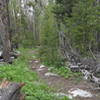 Section of trail that criss crosses road.