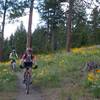 Descending the Three Larch Trail.