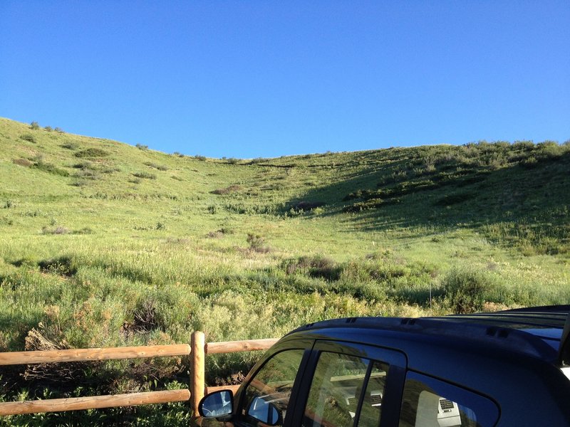 Looking up the hill from the parking lot